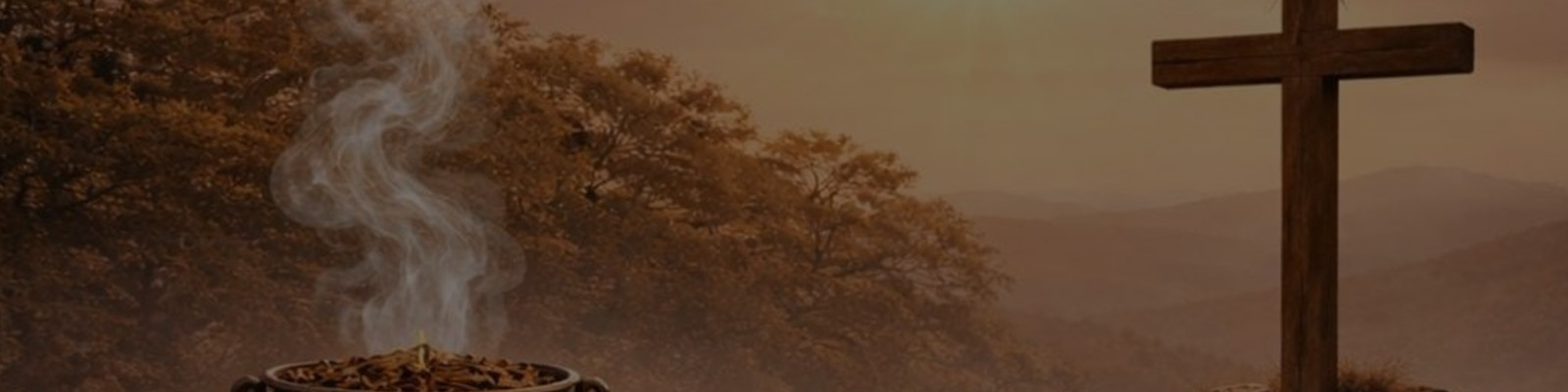 Cover: De Man in het midden